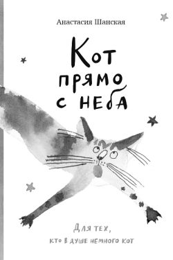 Кот прямо с неба. Шанская Анастасия