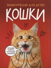 Кошки