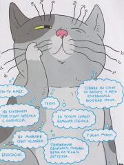 Кошки1